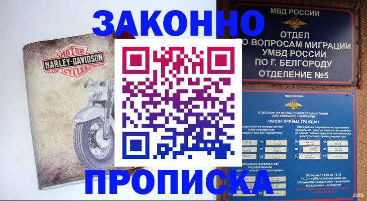прописка для школы в Мамадыше